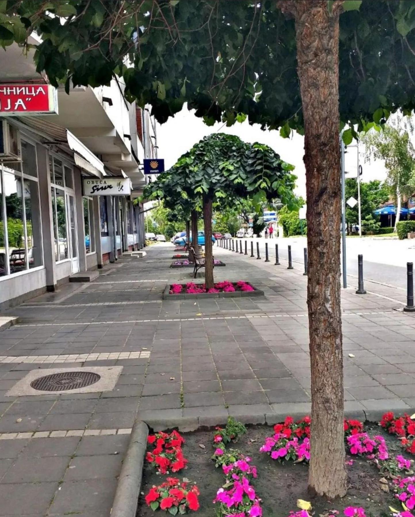 Apartmani Koki Kladovo Exterior foto